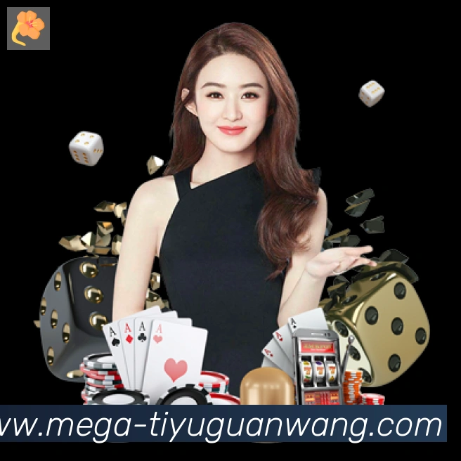 未来规划